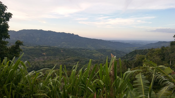 Dominican Blue Amber MInes, Amber for sale online