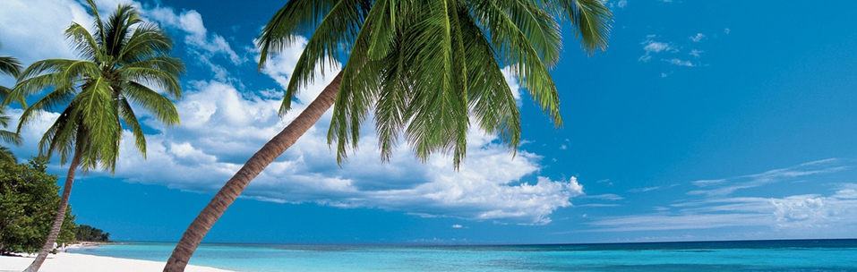 Blue Amber Dominican